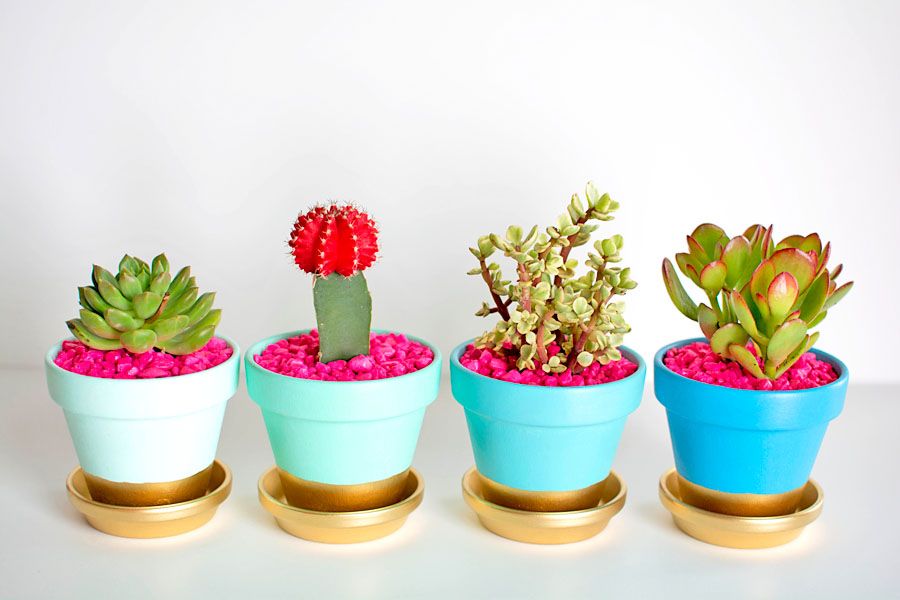 Gold-Dipped Plant Pots