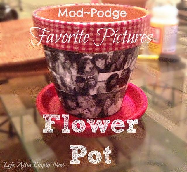 Favorite Pictures Flower Pot