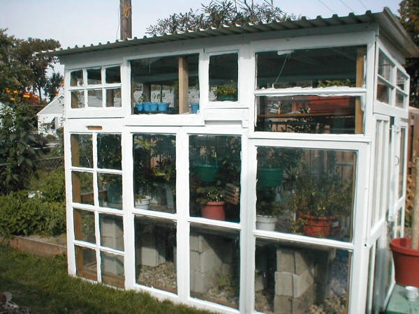 Old Windows Greenhouse