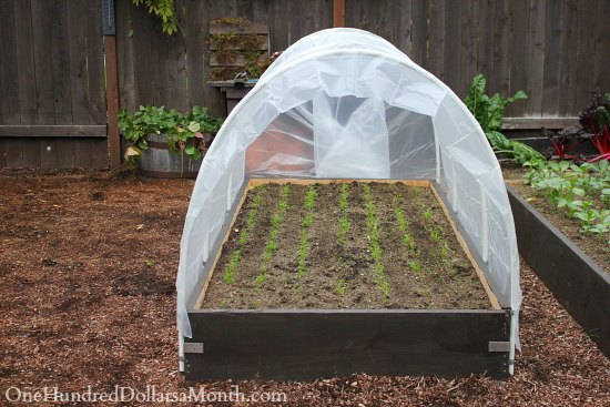 Small Poly Tunnel