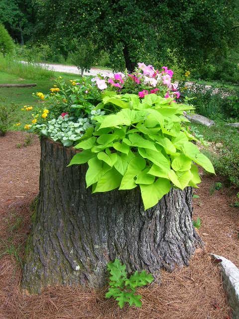 Create a Tree-Stump Planter