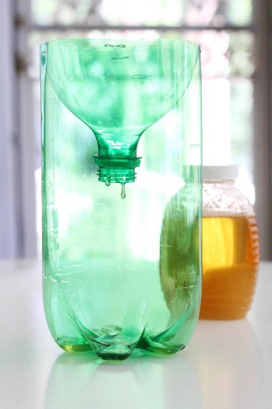 Wasp Trap from a Soda Bottle