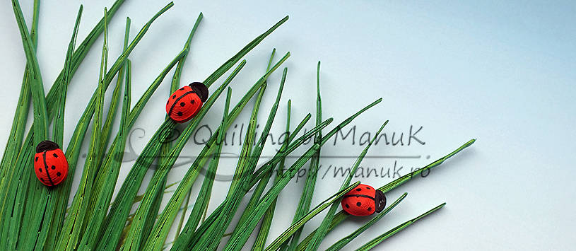 Ladybugs in the Grass