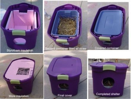 This is a great way to keep outside cats safe and warm in the winter