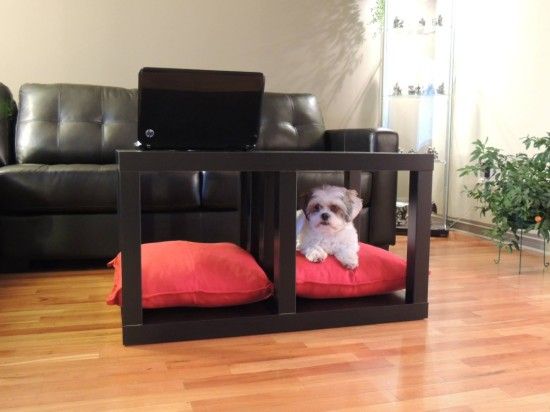 Coffee Table and Dog Bed