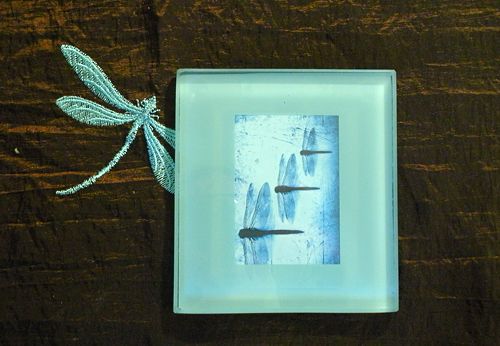 Coaster Picture Frames