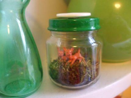 Recycle Baby Food Jars into Terrariums