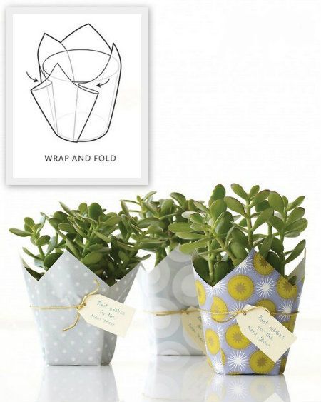 Wrap a Plant