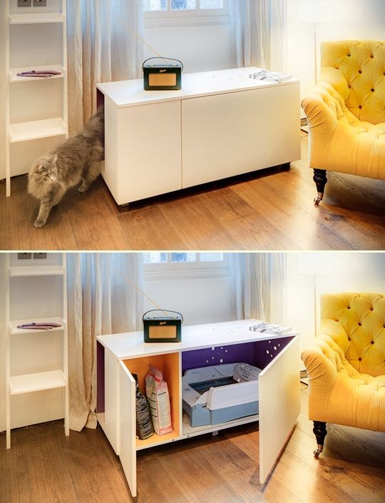 Modern Furniture to Conceal the Litter Box