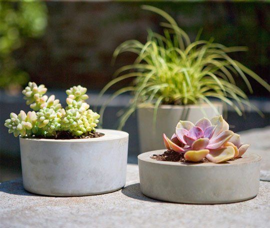 Gorgeous and Modern Planters