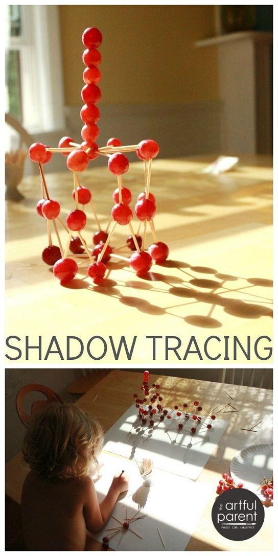 Shadow Tracing with Grape Sculptures