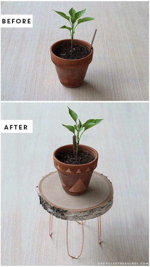 Decorate Plant Pots