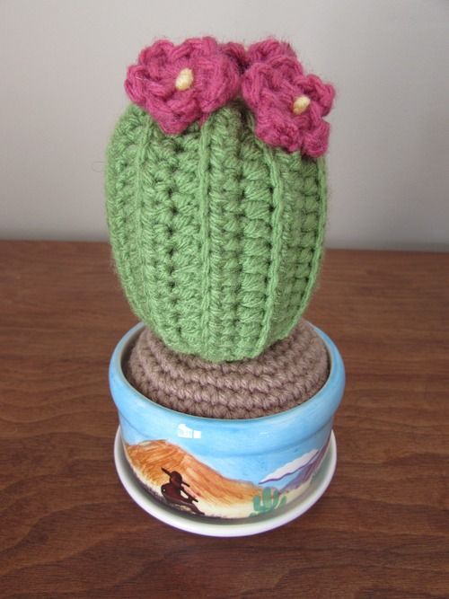 Crochet Cactus