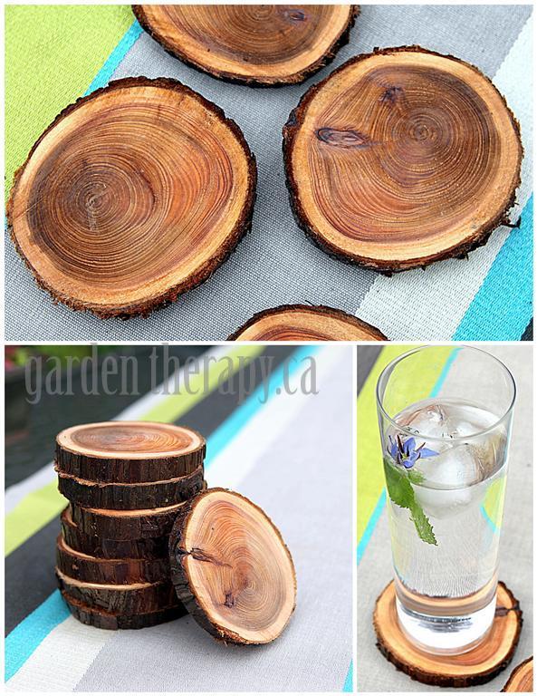 Natural Branch Coasters