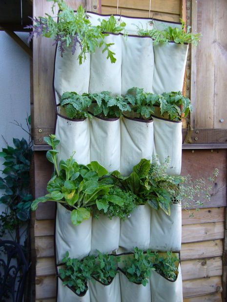 Vertical Vegetable Garden