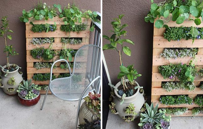 Small Space Pallet Garden