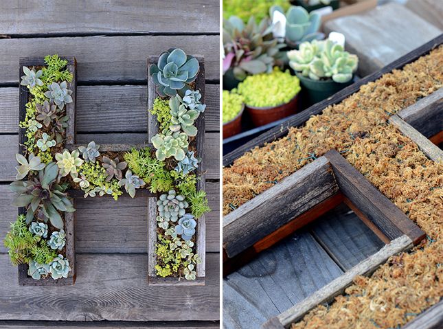 Succulent Letter DIY