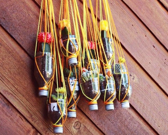 Recycled Bottle Cactus Planter