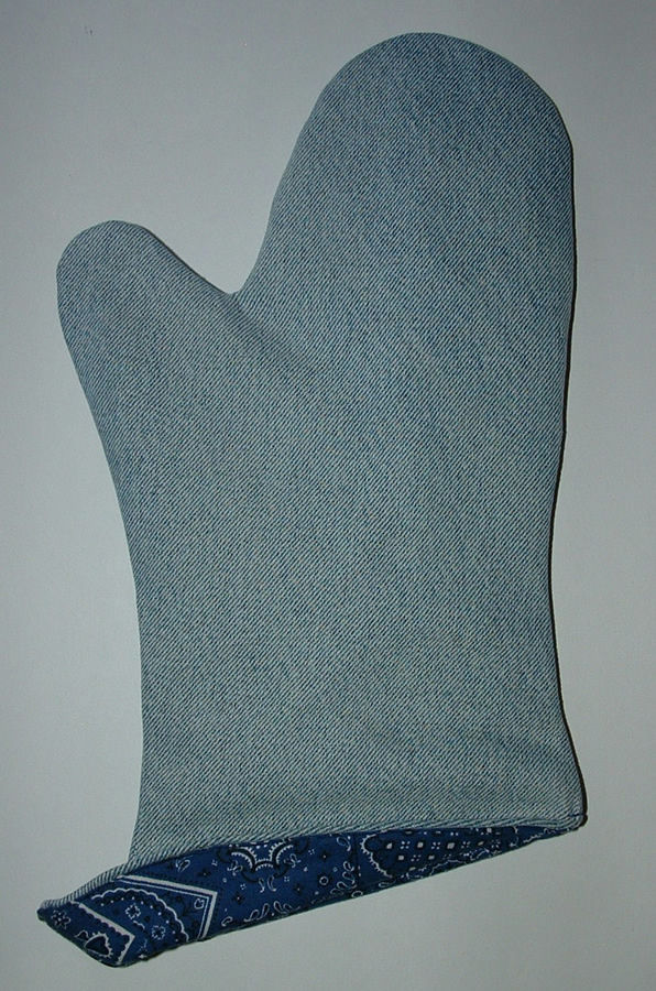 Oven Mitt