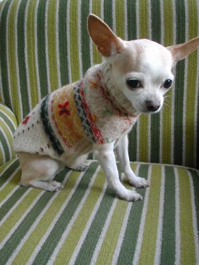 Recycled Dog Sweater