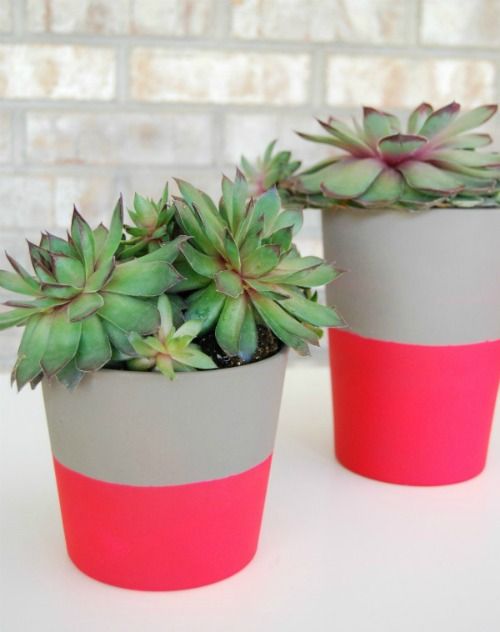 Dipped Neon Pots