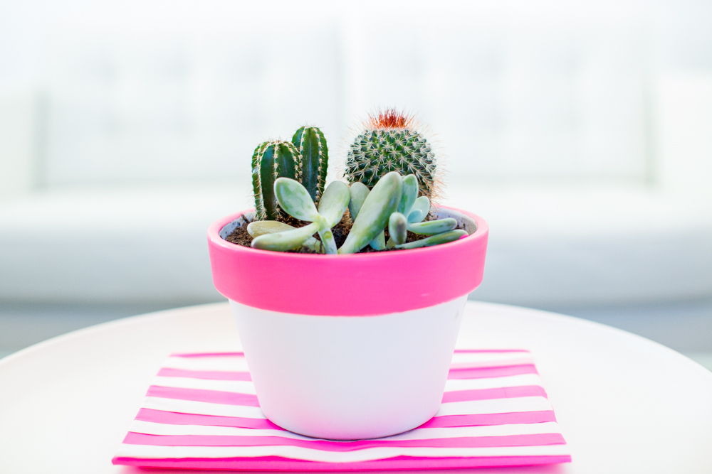 Hot Pink Clay Pot Makeover