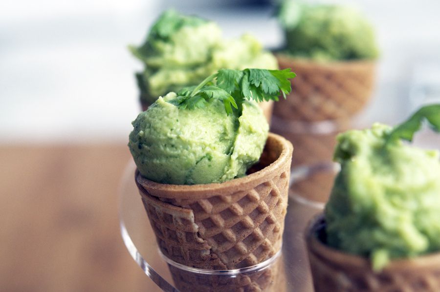 Avocado Sorbet