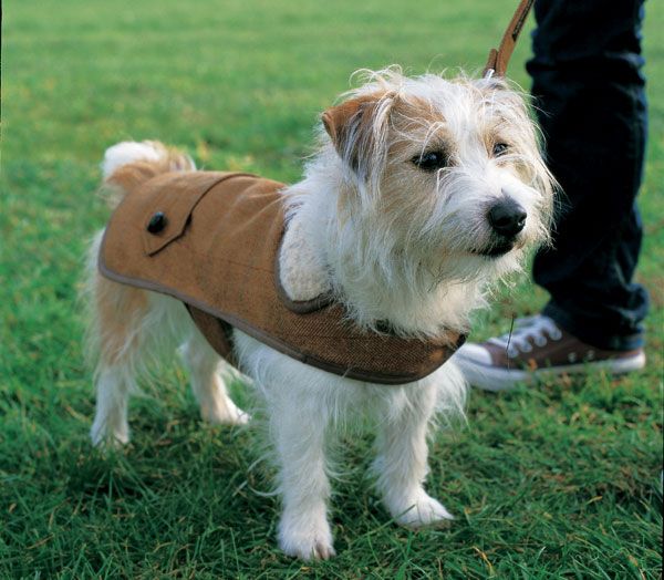 Country Gent Tweed Dog Coat