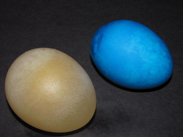 The Transparent and Bouncy Egg Experiment