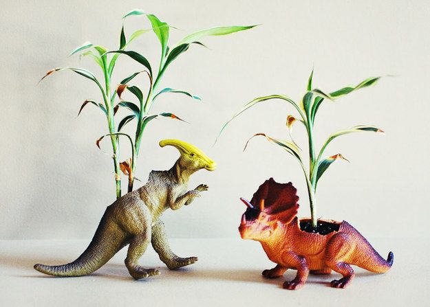Dinosaur Planters