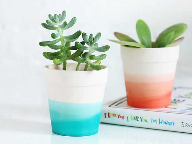Dip Dye Succulent Pot