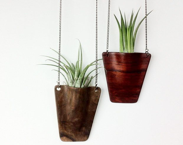 Wooden Air Plant Pendant