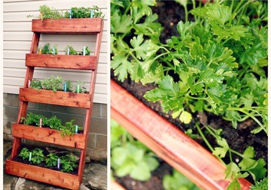 Herb Garden