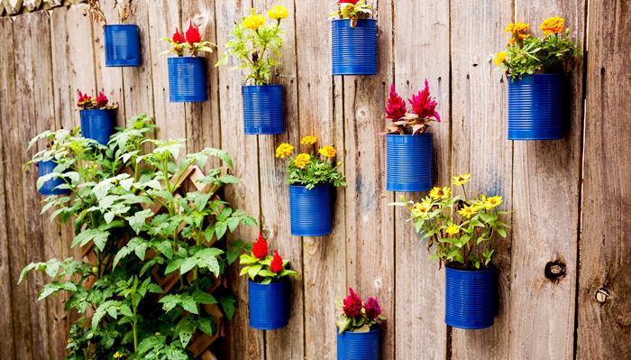 Tin Can Fence Garden