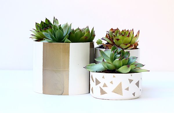 PVC Pipe Planter