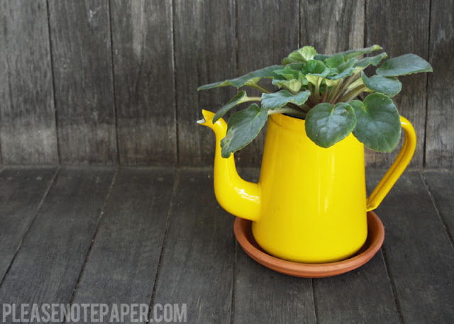 Upcycled Pitcher Planter