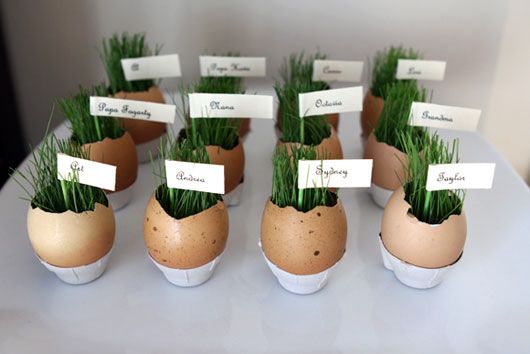 Eggshell Planters