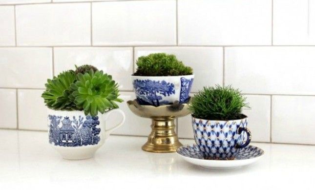 Teacup Garden