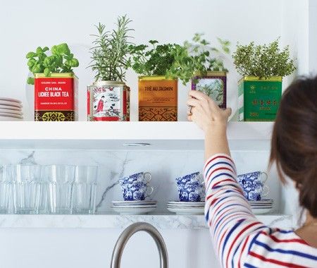 Tea Tin Herbs