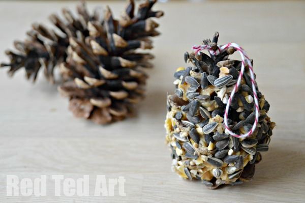 Pine Cone Bird Feeder