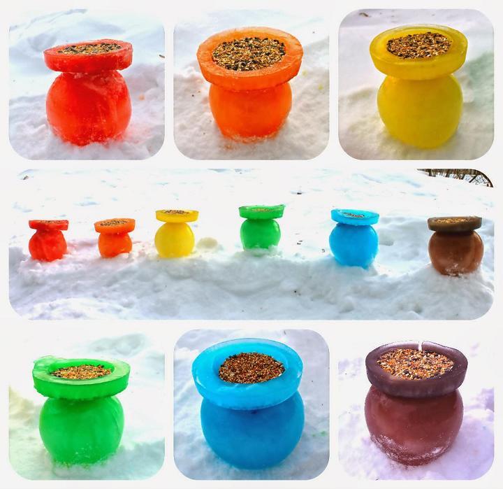 Rainbow Ice Bird Feeders