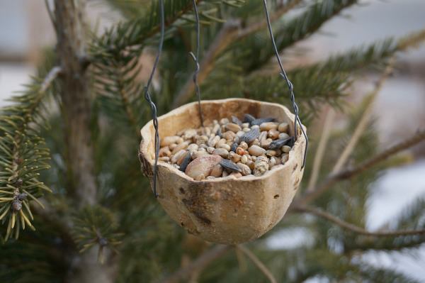 Gourd Bird Feeder