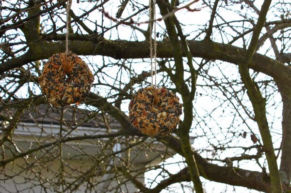 Seedy Bagel Ring Bird Feeder