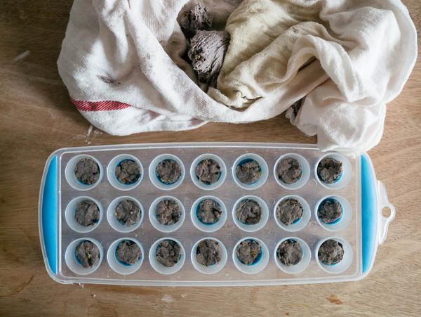 Make Your Own Seed Bombs