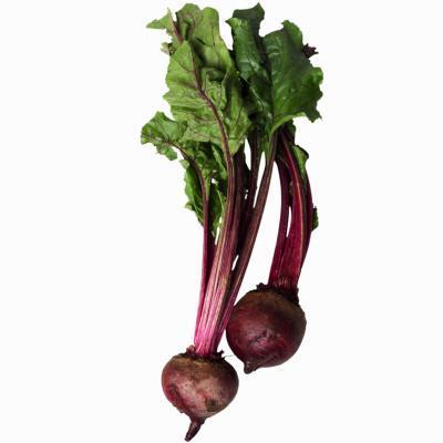 Grow a Beet in Water Without Seeds