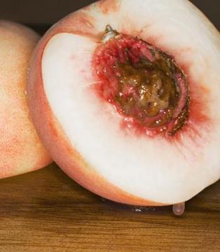 Grow Peach from It's Pit