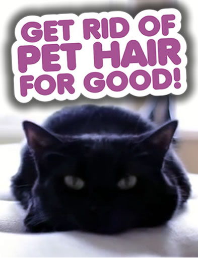 Get Rid of Pet Hair for Good