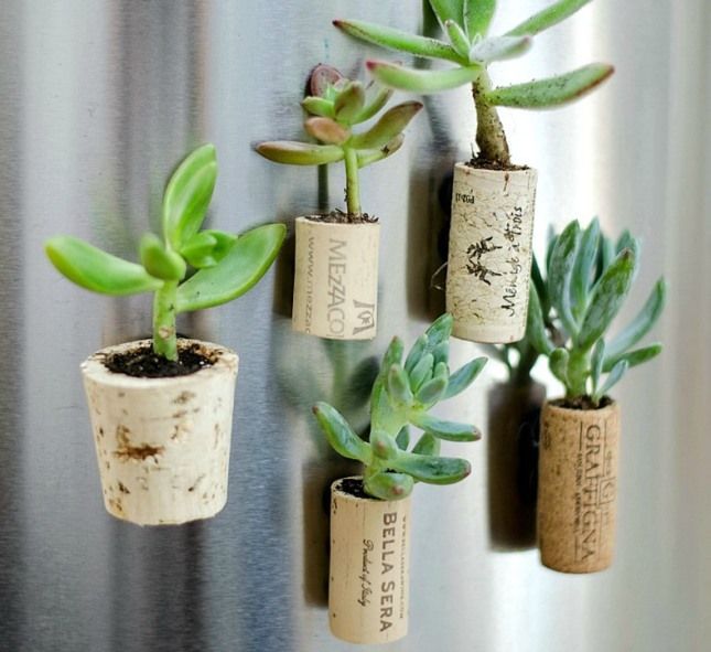 Wine Cork Magnet Planter
