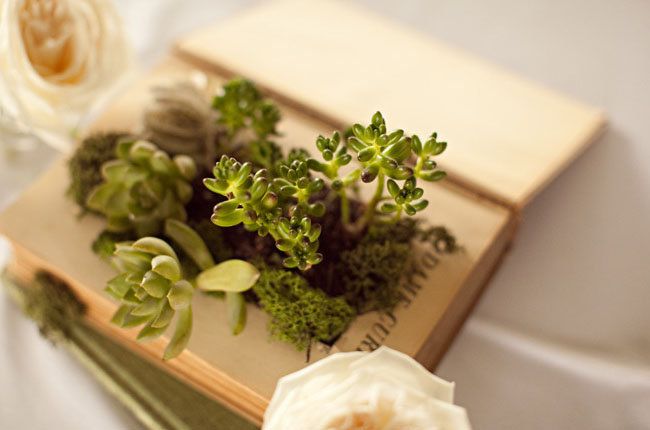 Book Planter with Succulents