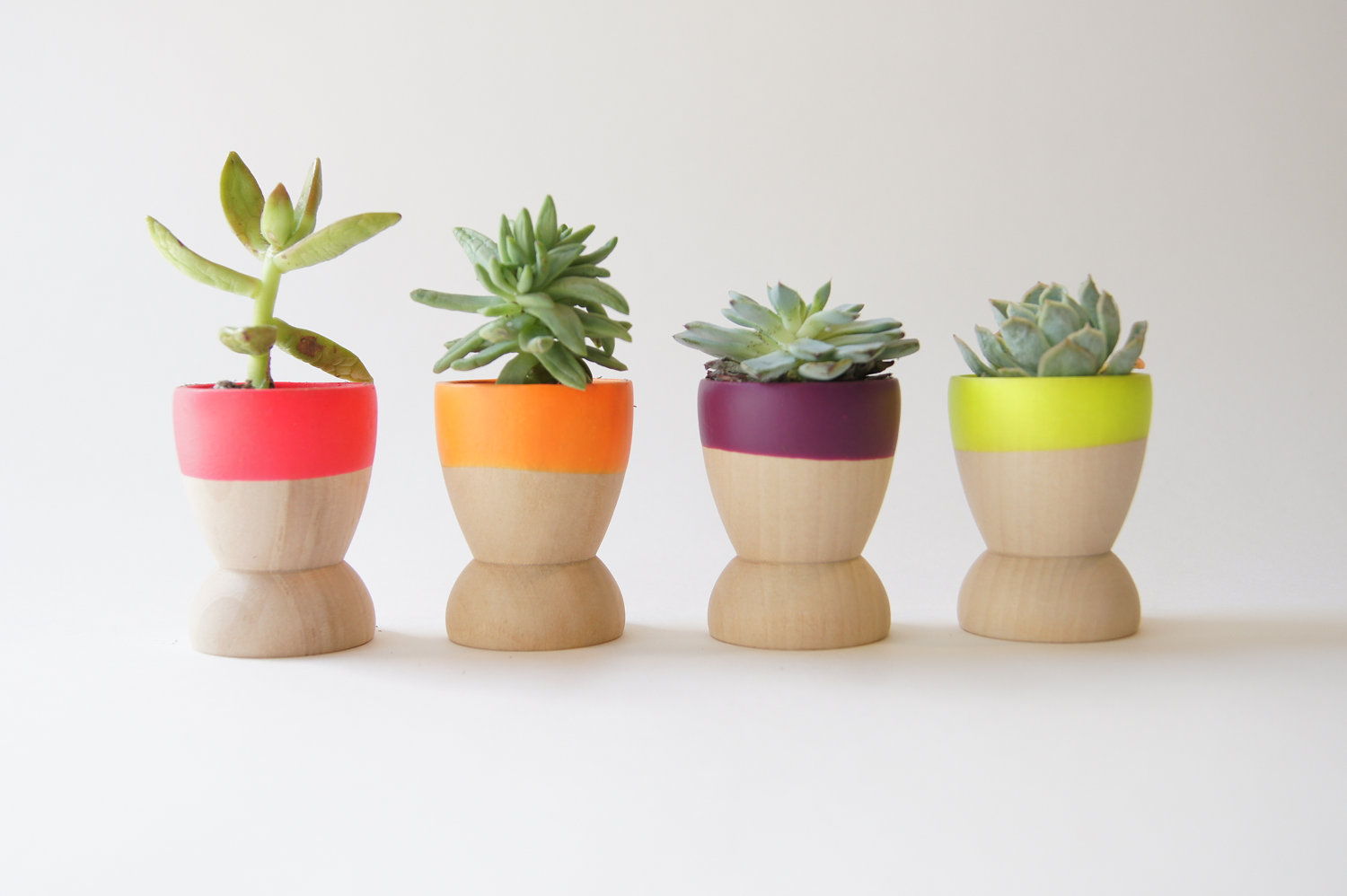 Dipped Mini Wooden Bowls & Planters